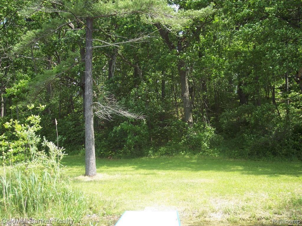 5870 Sinroll Road Ortonville, MI 48462 - Photo 9 of 19