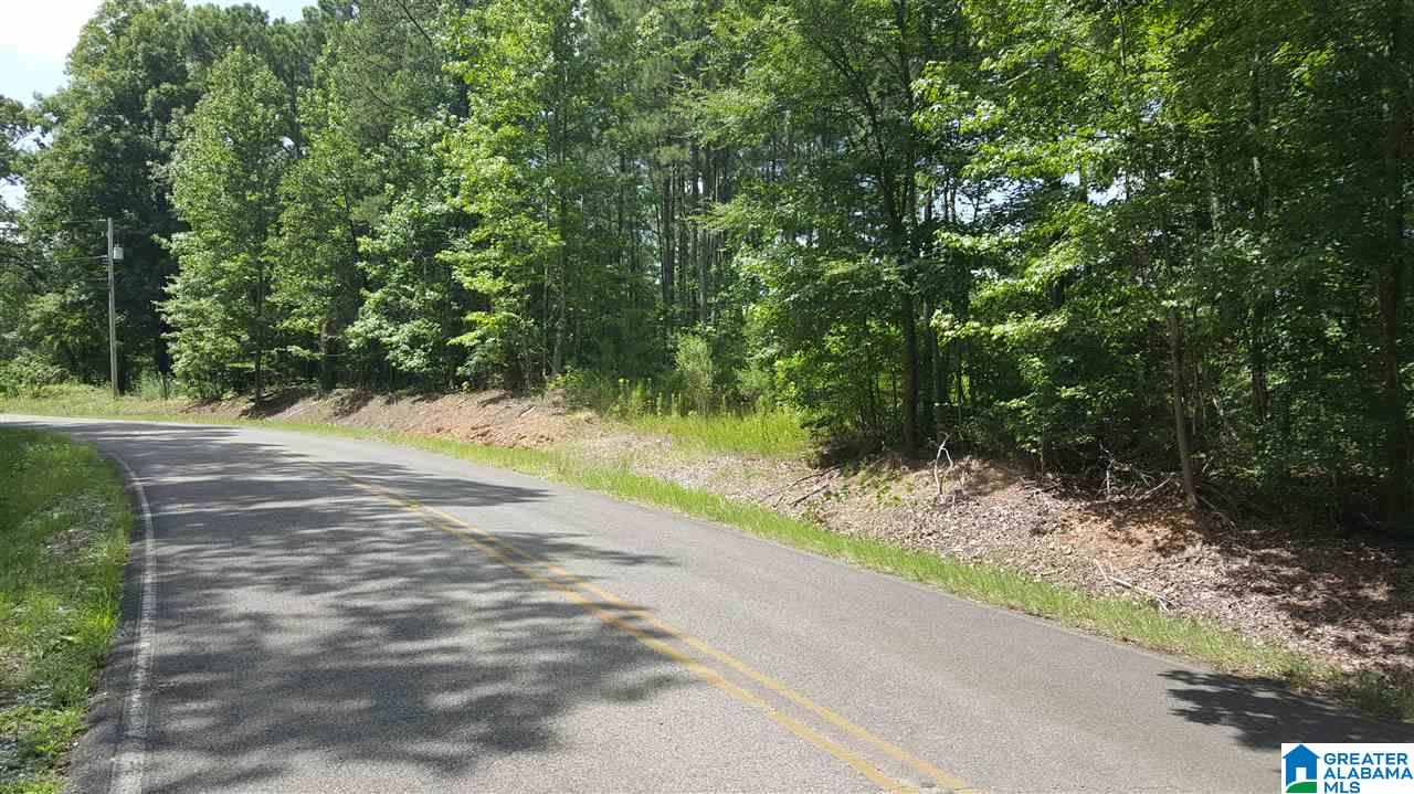 2164 Morton Road Warrior, AL 35180 - Photo 2 of 4