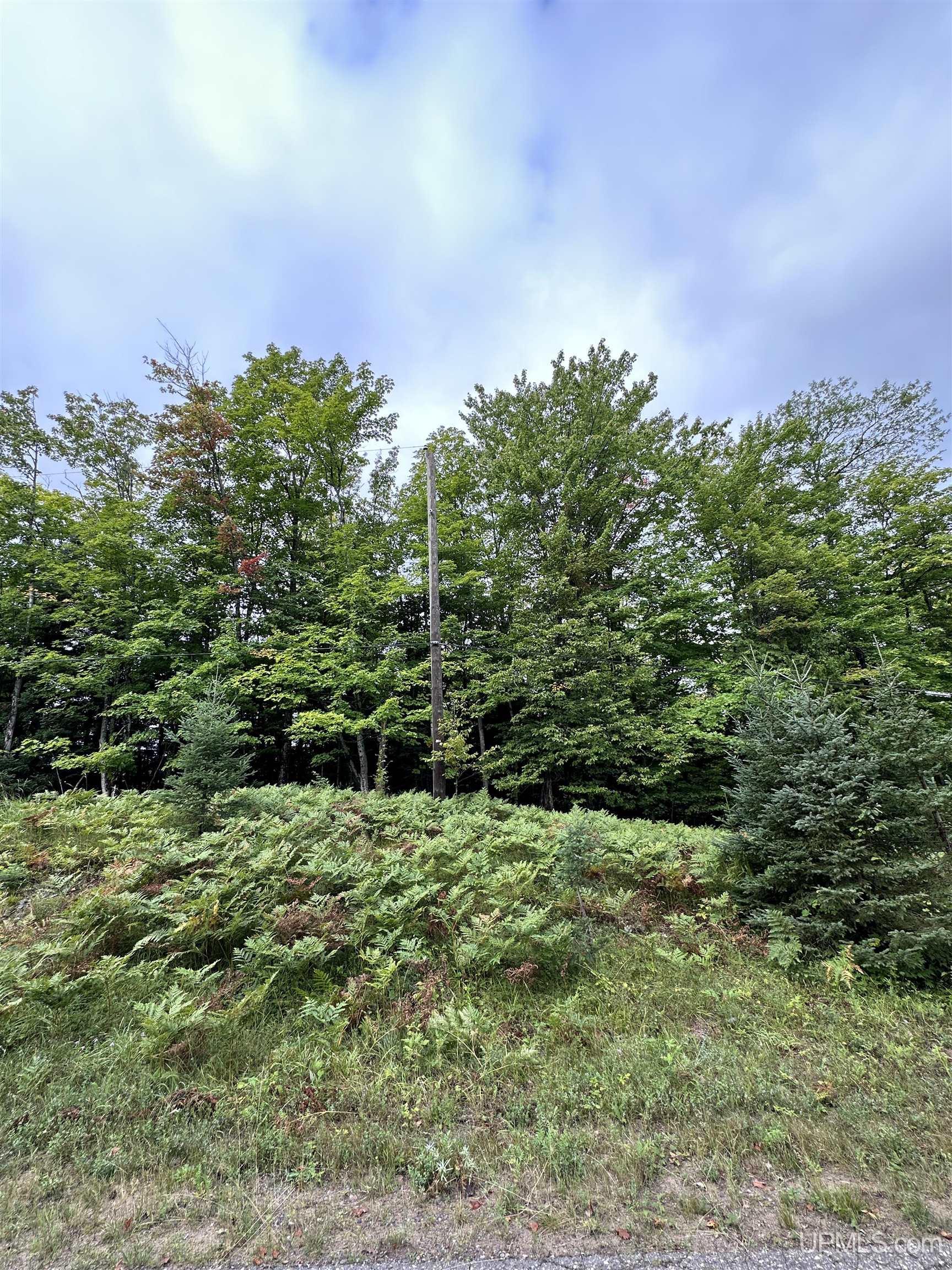 Lot #6 Maple Ridge Road Negaunee, MI 49866 - Photo 3 of 3