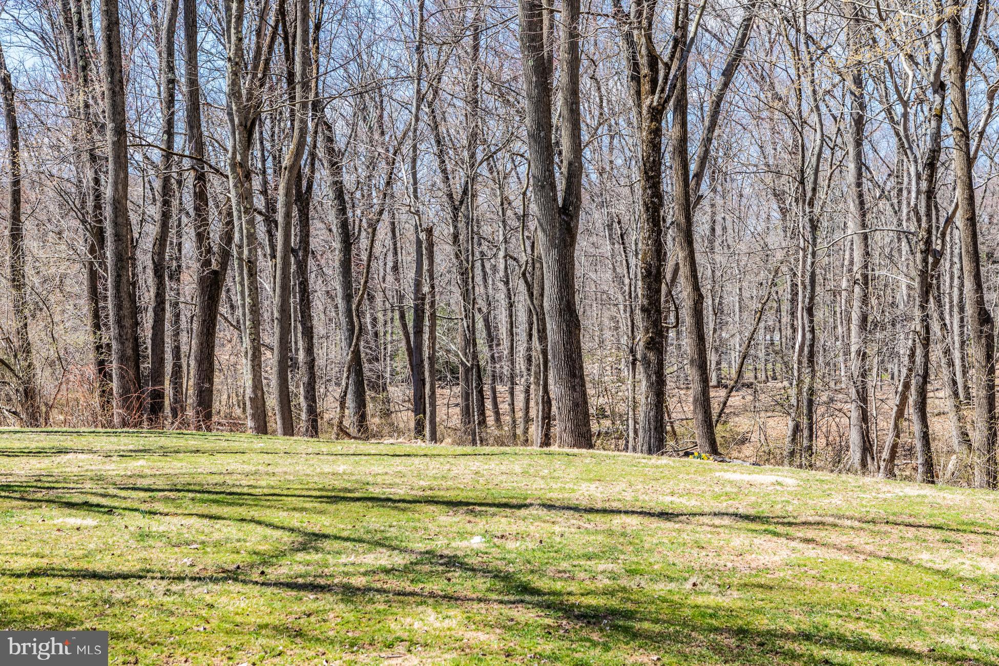 77 Elm Ridge Road Princeton, NJ 08540 - Photo 29 of 44 Gallery Image 29