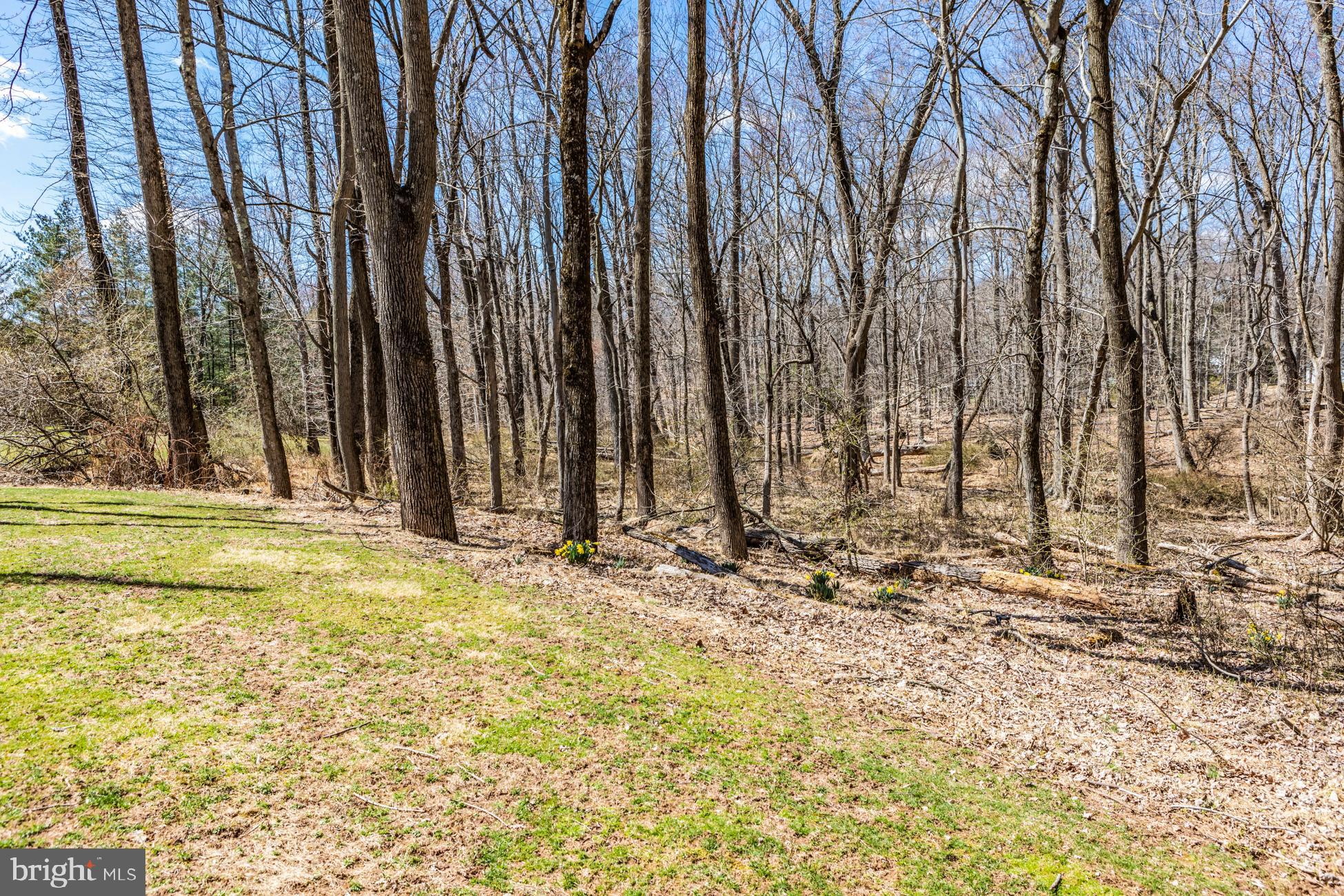 77 Elm Ridge Road Princeton, NJ 08540 - Photo 39 of 44 Gallery Image 39