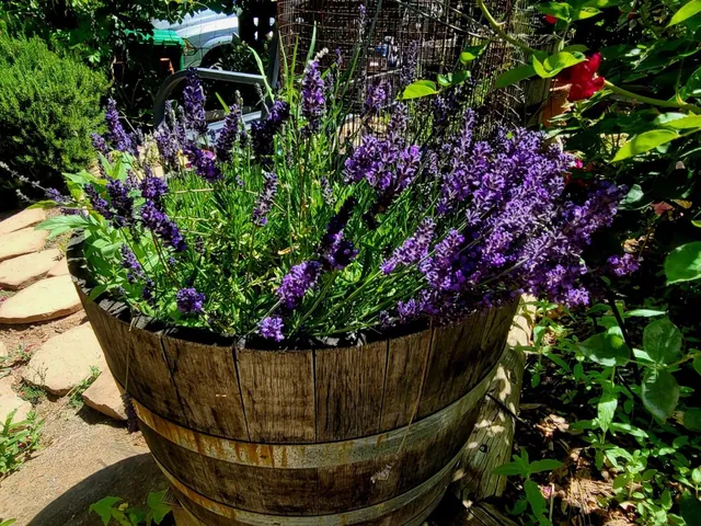 $962,500 | 19856 Ocelot Drive, Grass Valley, CA 95949