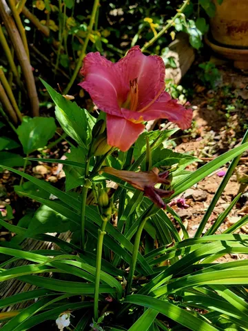 $962,500 | 19856 Ocelot Drive, Grass Valley, CA 95949