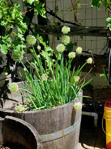 $962,500 | 19856 Ocelot Drive, Grass Valley, CA 95949