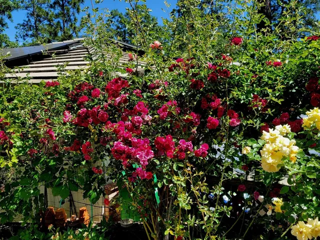 $962,500 | 19856 Ocelot Drive, Grass Valley, CA 95949