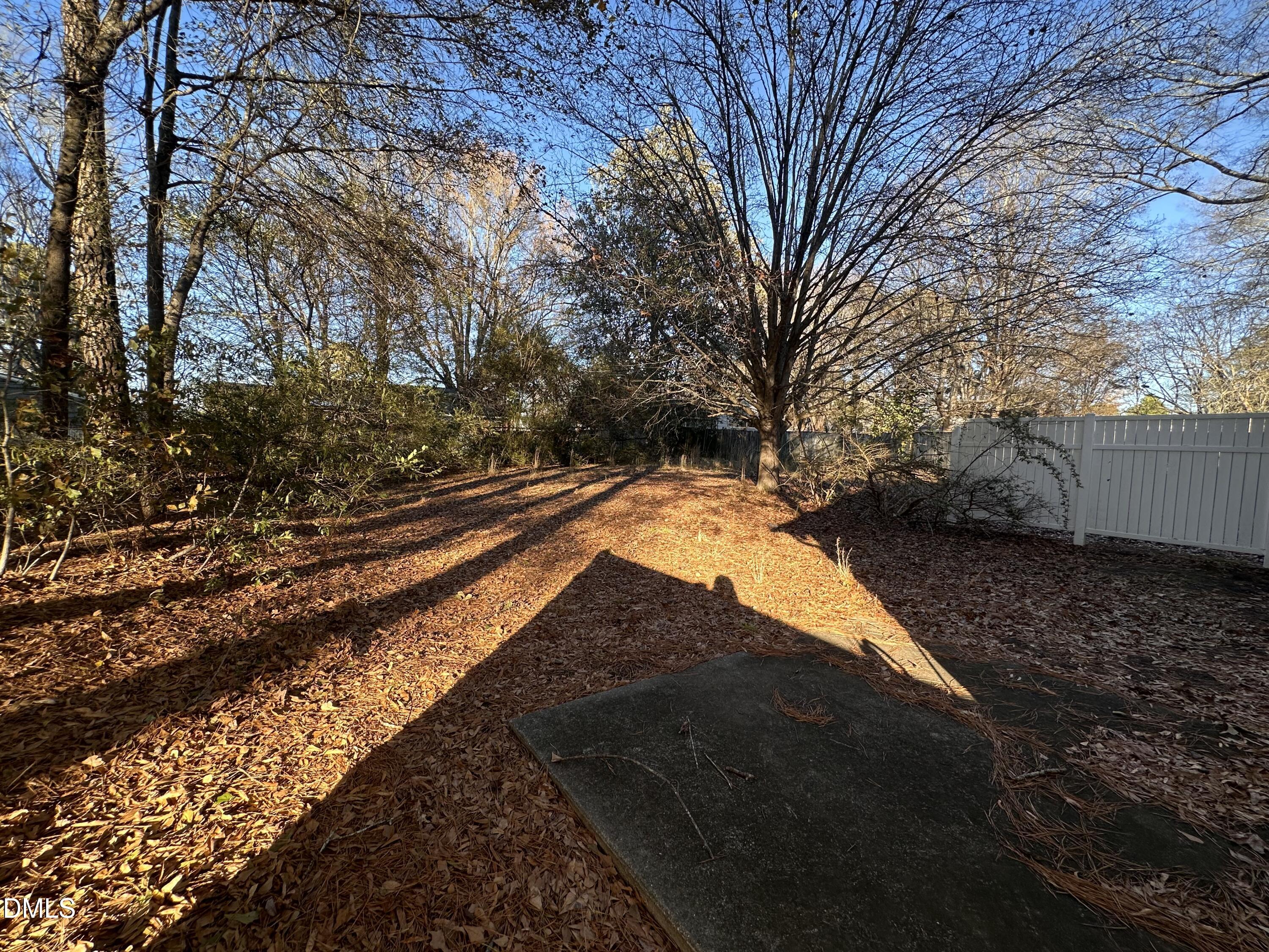 422 Wall Street Wendell, NC 27591 - Photo 10 of 11 IMG_3622