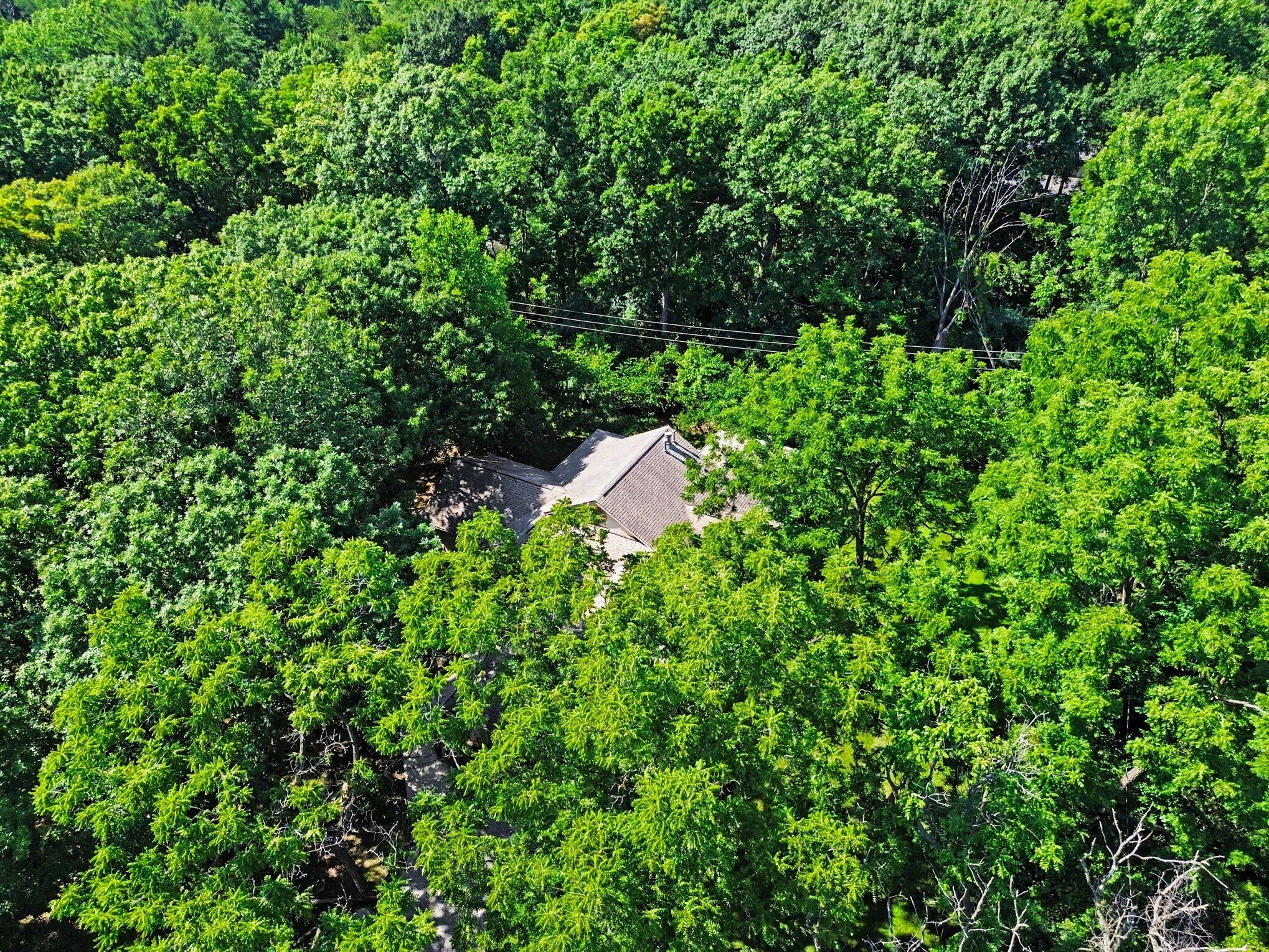 2220 Gale Road Ann Arbor, MI 48105 - Photo 73 of 77 070_file_8164