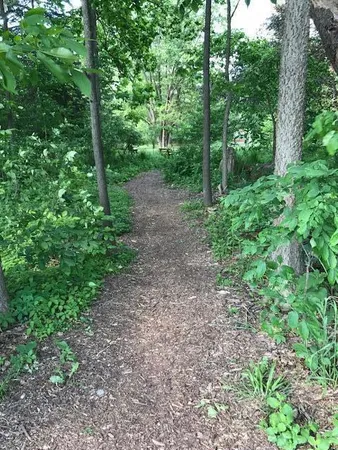 $492,500 | 1041 Dogwood Meadows Drive Southeast, Ada, MI 49301