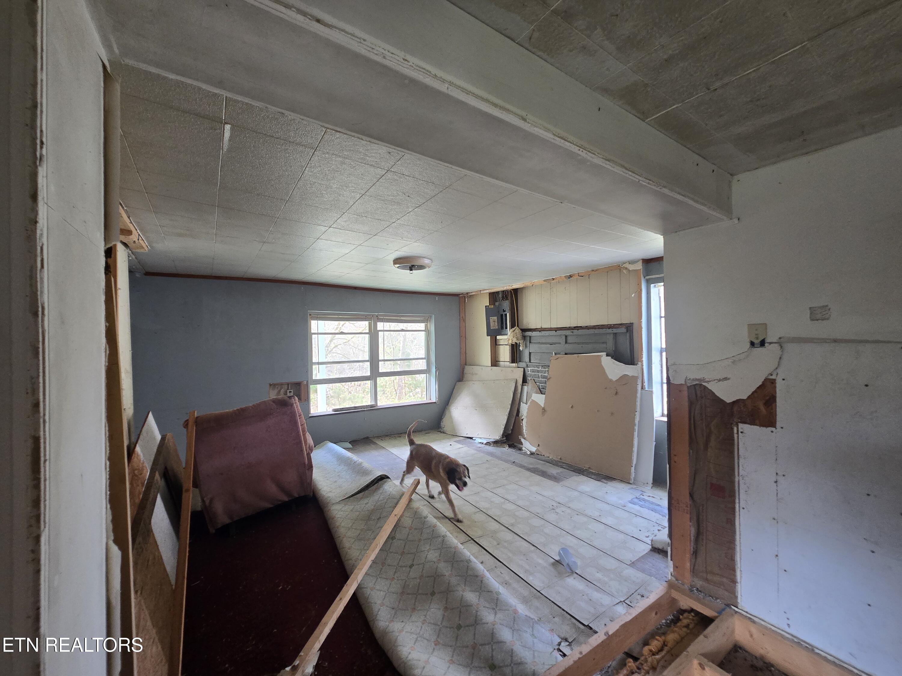 406 Wallen Road Kyles Ford, TN 37765 - Photo 17 of 34 20260305_101412