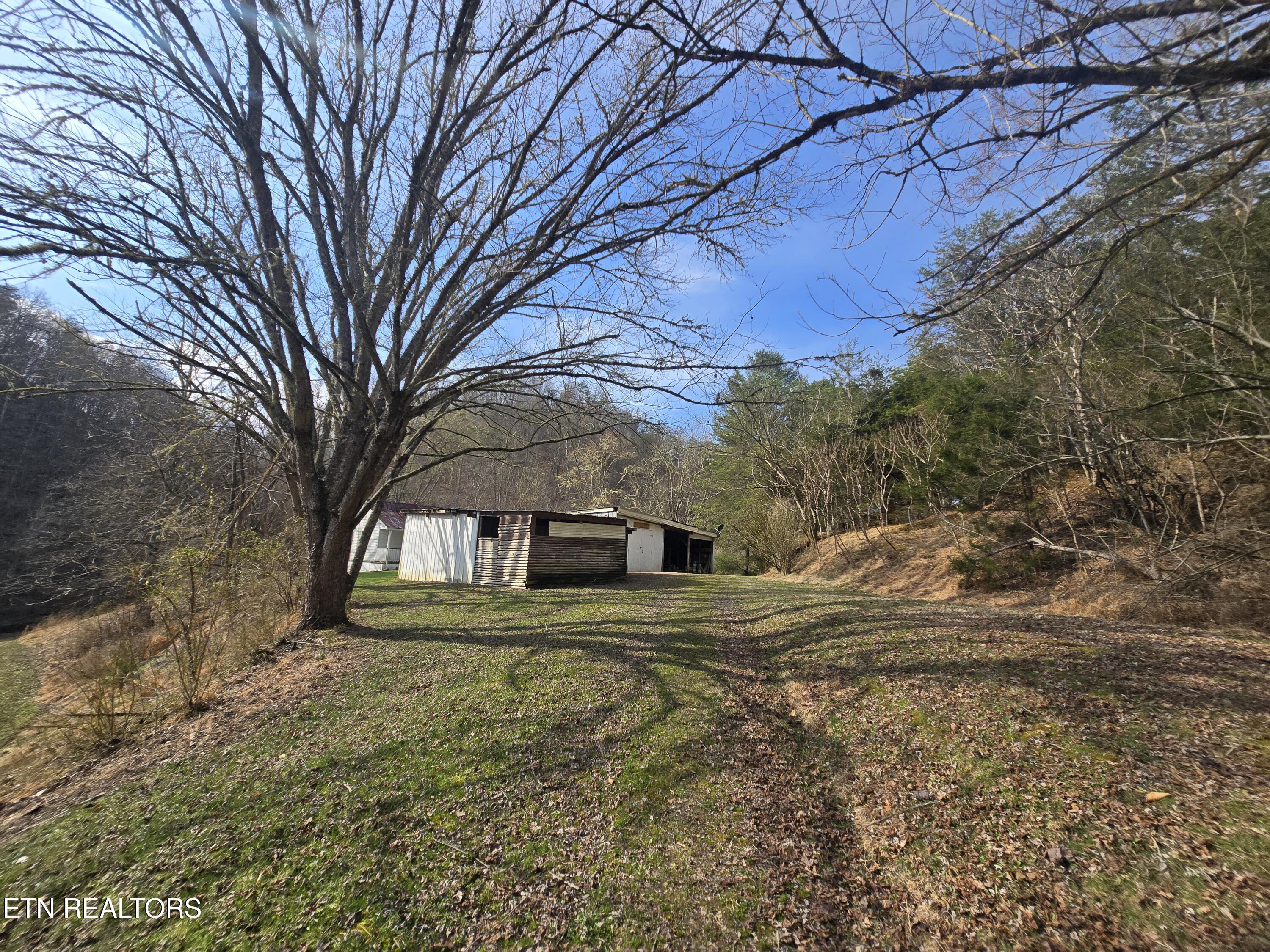 406 Wallen Road Kyles Ford, TN 37765 - Photo 22 of 34 20260305_101257
