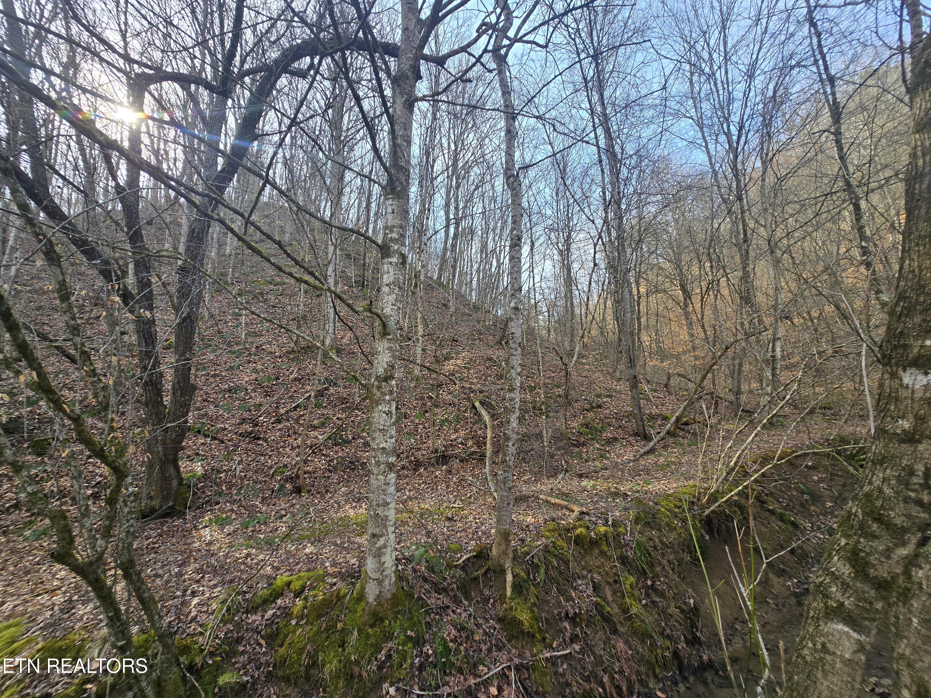 406 Wallen Road Kyles Ford, TN 37765 - Photo 28 of 34 20260305_102142