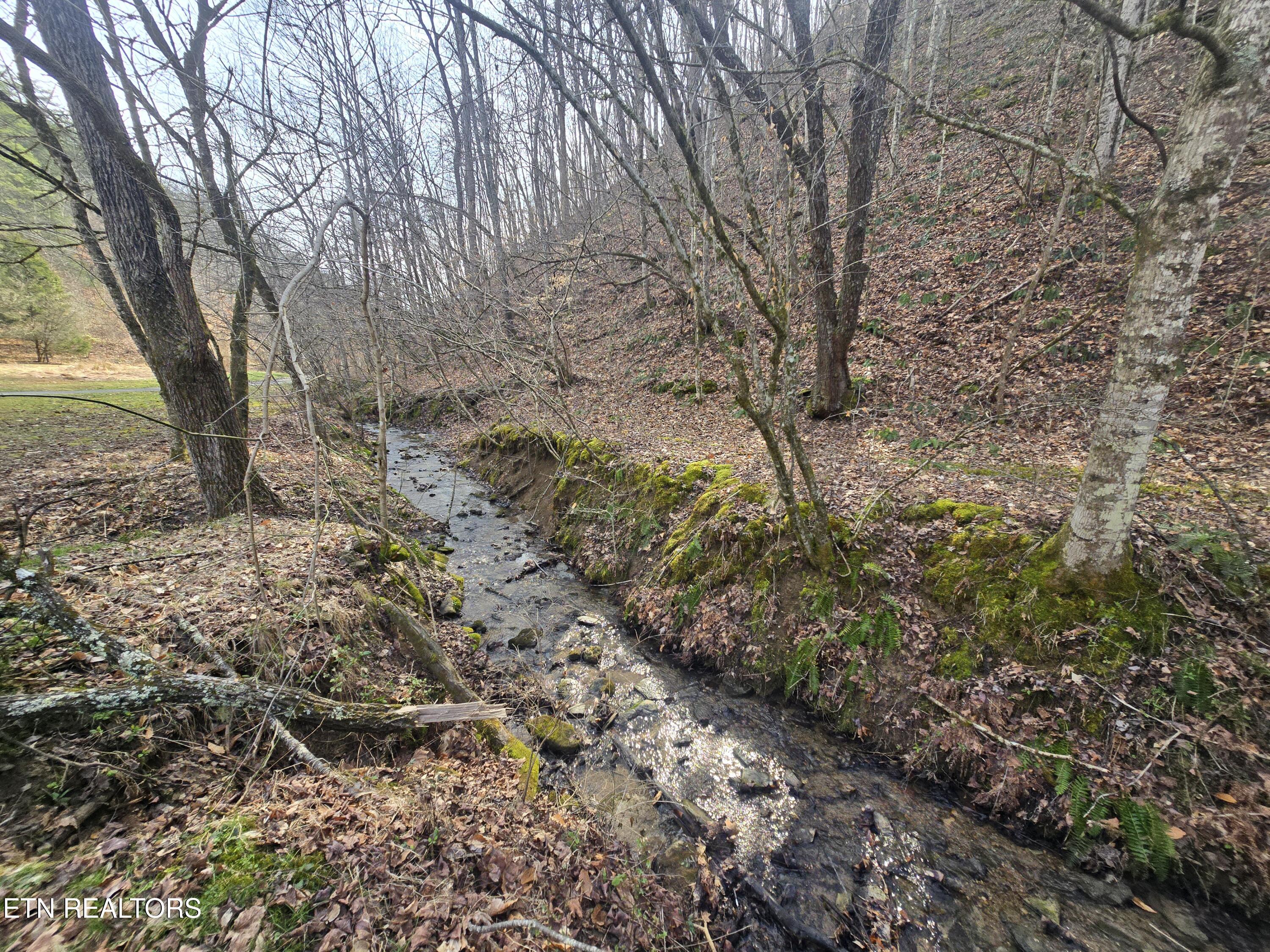 406 Wallen Road Kyles Ford, TN 37765 - Photo 29 of 34 20260305_102138