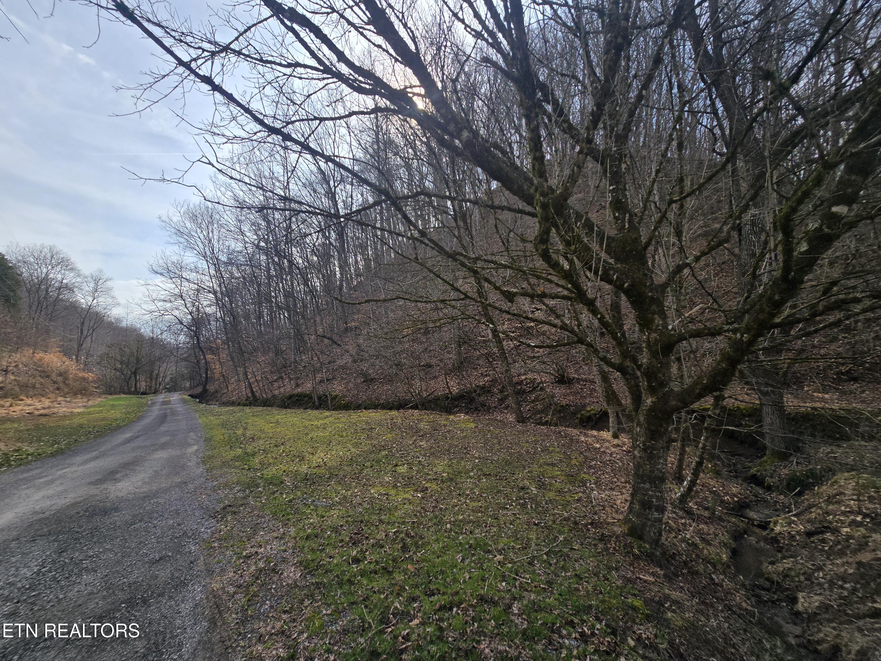 406 Wallen Road Kyles Ford, TN 37765 - Photo 31 of 34 20260305_102207