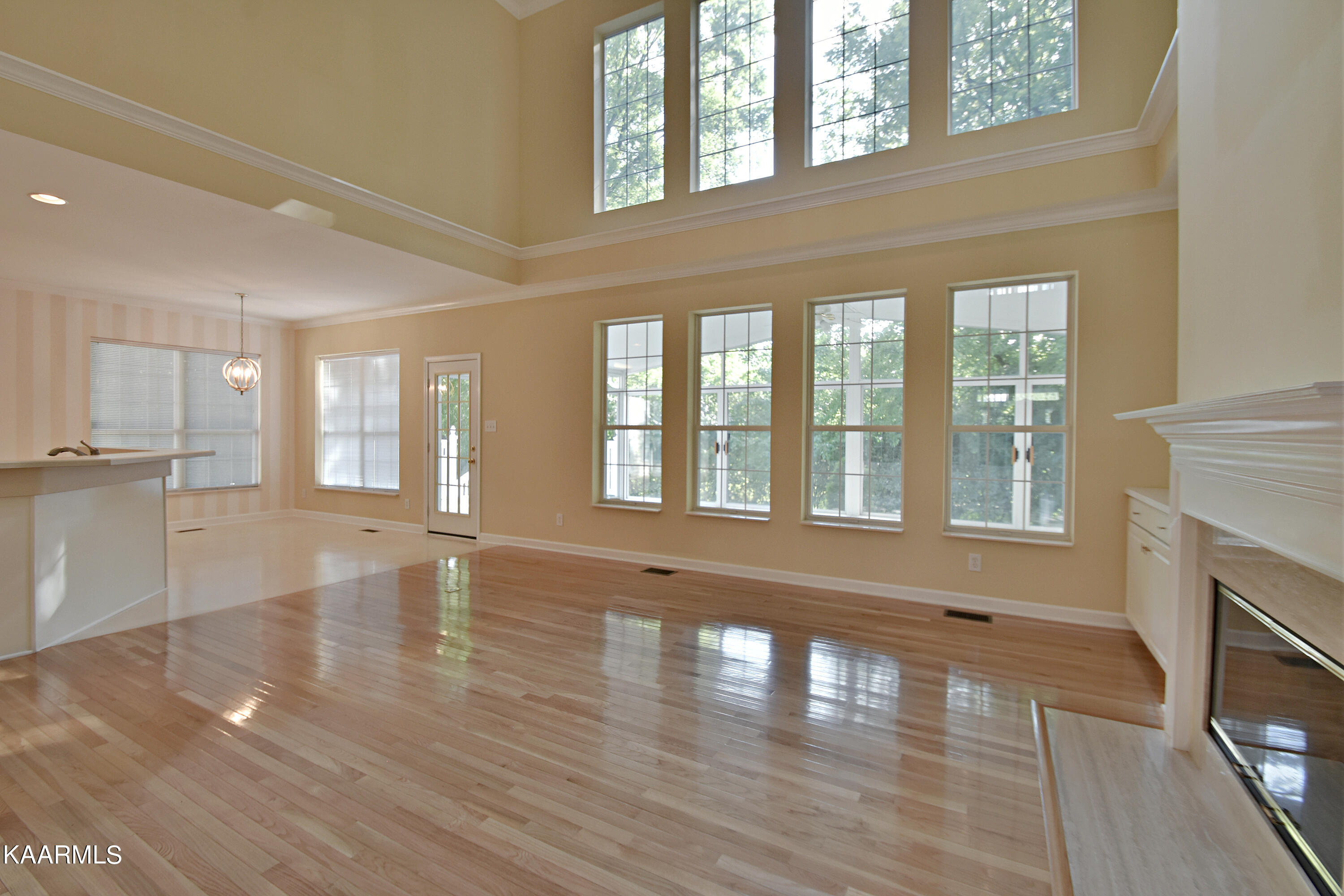 1135 Woodsboro Road Knoxville, TN 37922 - Photo 18 of 38 DSC_5725 (1)