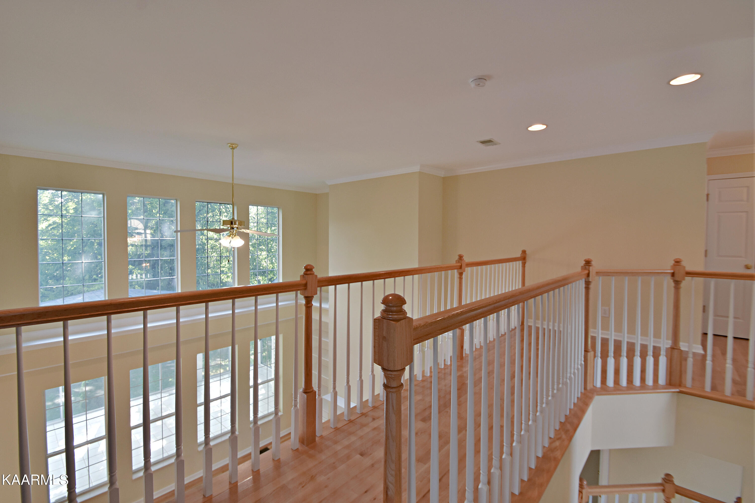 1135 Woodsboro Road Knoxville, TN 37922 - Photo 28 of 38 DSC_5749 (1)