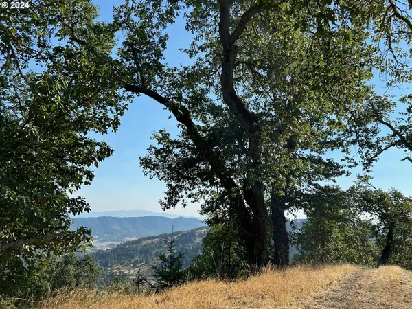 $119,000 | 0 Eagle Drive, Unit 37, Roseburg, OR 97471