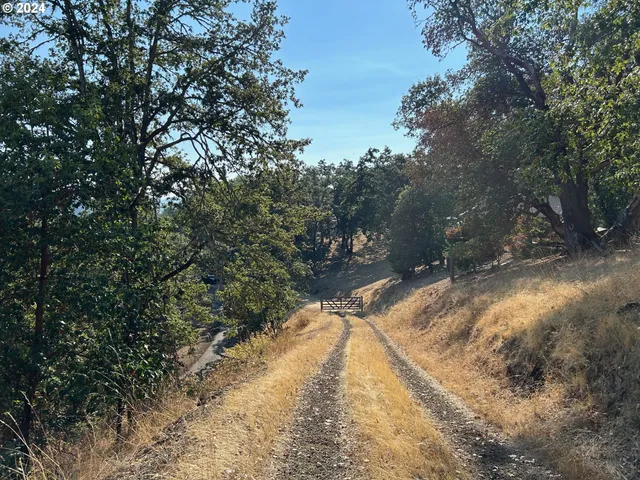 a view of a yard with large trees
