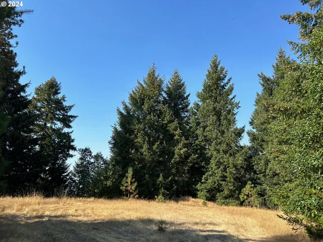 a view of beach and yard