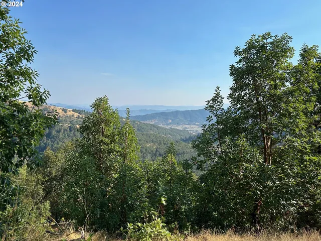 a view of a large yard with lots of green space