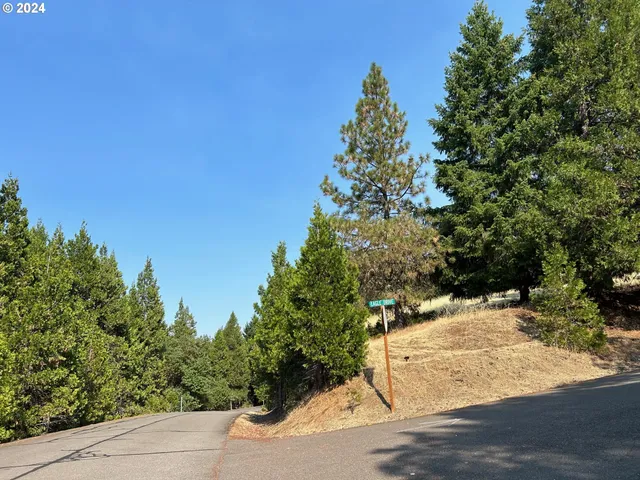 a view of a yard with a tree