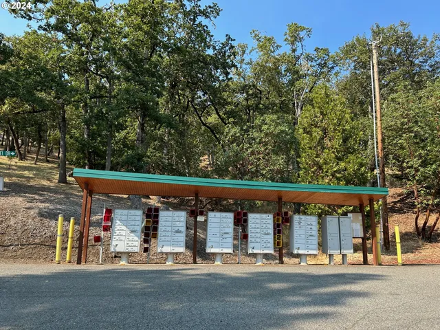 an outdoor space with lots of trees