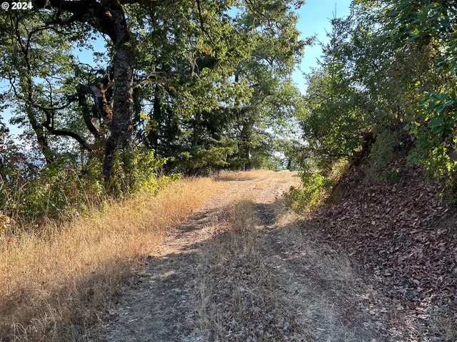 a view of a yard with a tree