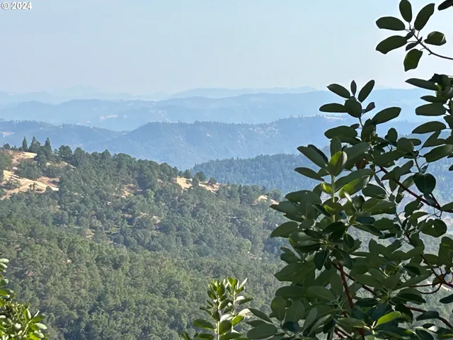 a view of a yard with a mountain