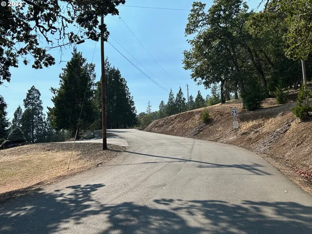 a view of a yard with a tree