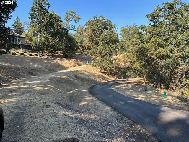 a view of road with large trees