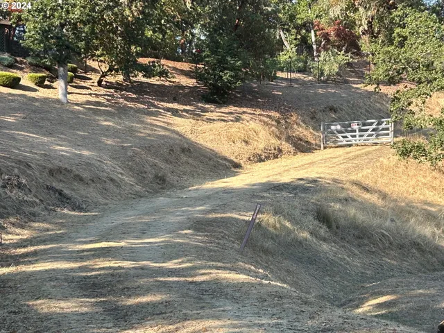 a view of a yard with large trees