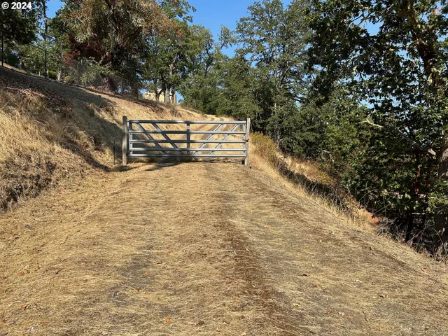 a view of an outdoor space and trees