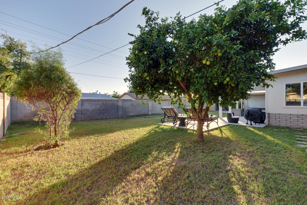 1517 West Lamar Road Phoenix, AZ 85015 - Photo 35 of 43 1517-West-Lamar-Road-44