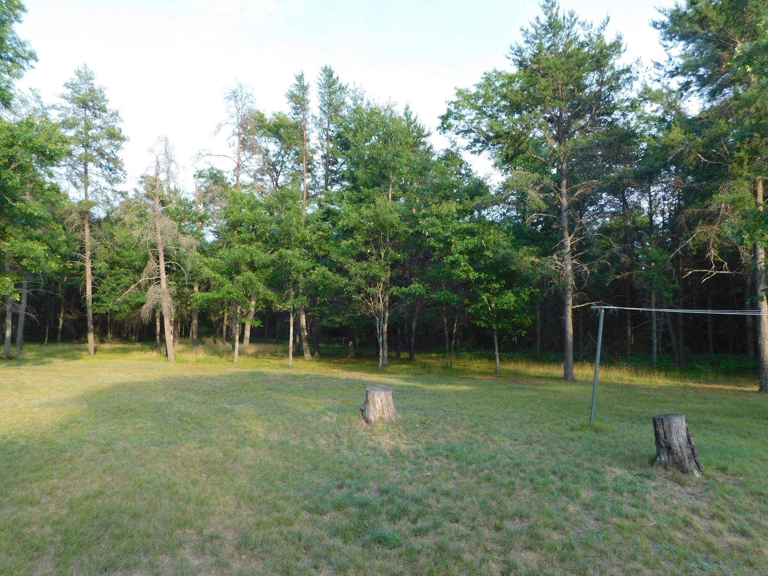 241 Perry Creek Road Mio, MI 48647 - Photo 20 of 21 Gallery Image 20