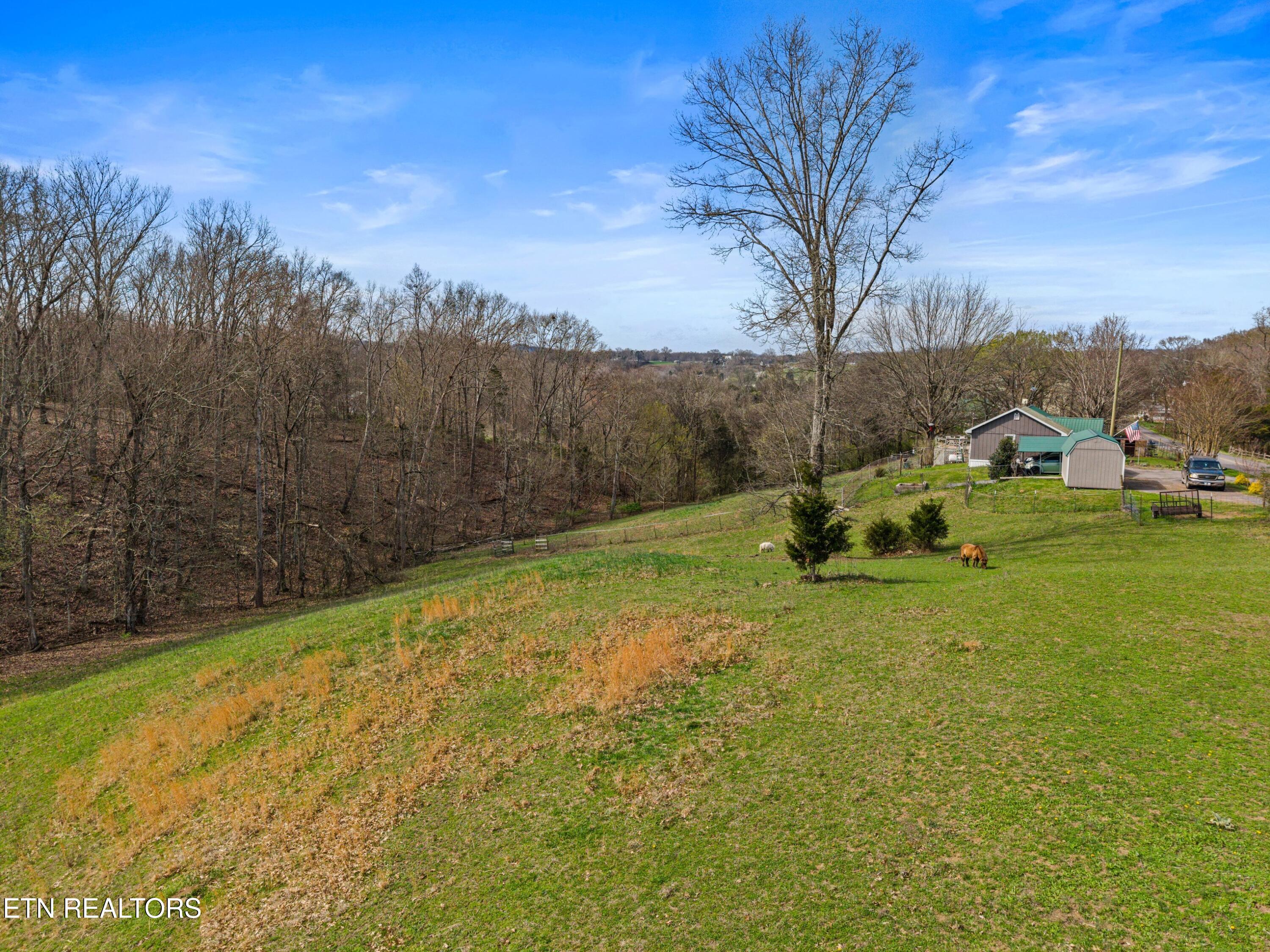 3621 Leadvale Road White Pine, TN 37890 - Photo 44 of 45 046-3621LeadvaleRoad-WhitePine-TN-37890-