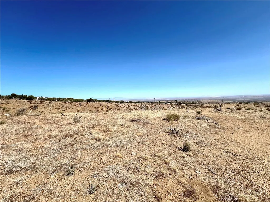 113 Juniper Mesa Road Juniper Hills, CA 93543 - Photo 12 of 15