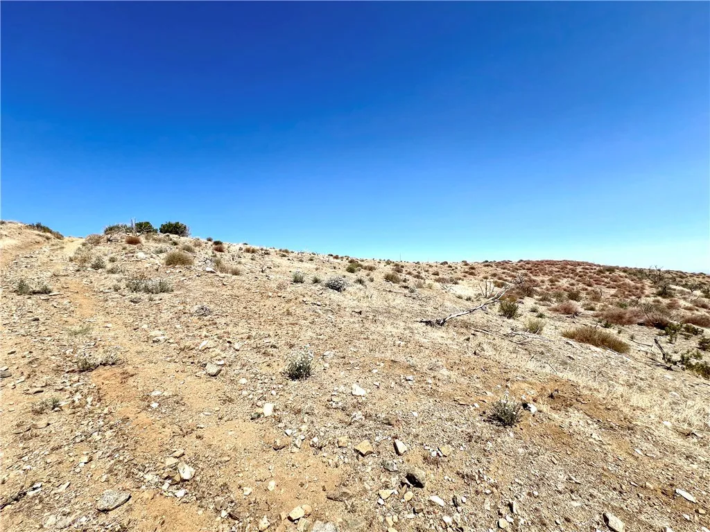 113 Juniper Mesa Road Juniper Hills, CA 93543 - Photo 15 of 15 a view of a snow on the beach