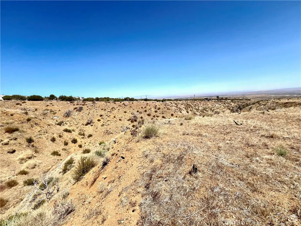 113 Juniper Mesa Road Juniper Hills, CA 93543 - Photo 2 of 15