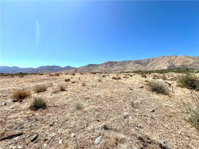 a view of a field with an ocean