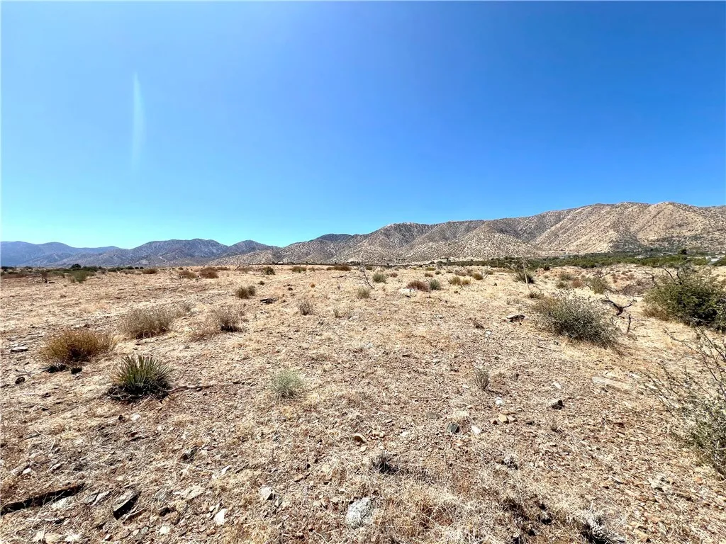 113 Juniper Mesa Road Juniper Hills, CA 93543 - Photo 5 of 15 a view of a large body of water with a building in the background