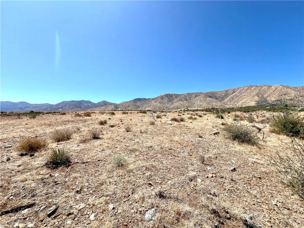 113 Juniper Mesa Road Juniper Hills, CA 93543 - Photo 5 of 15 a view of a large body of water with a building in the background