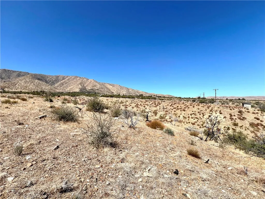 113 Juniper Mesa Road Juniper Hills, CA 93543 - Photo 6 of 15 a view of a field with an ocean