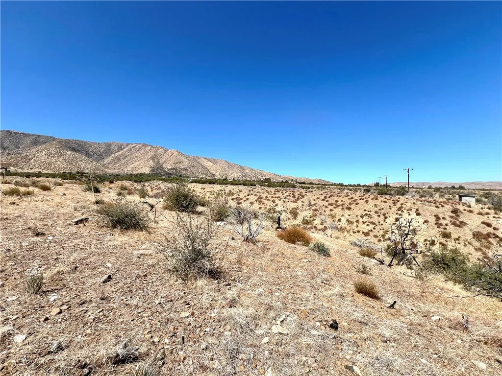 113 Juniper Mesa Road Juniper Hills, CA 93543 - Photo 6 of 15 a view of a field with an ocean
