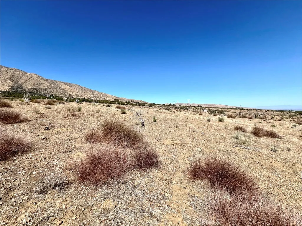 113 Juniper Mesa Road Juniper Hills, CA 93543 - Photo 8 of 15 a view of lake and mountain