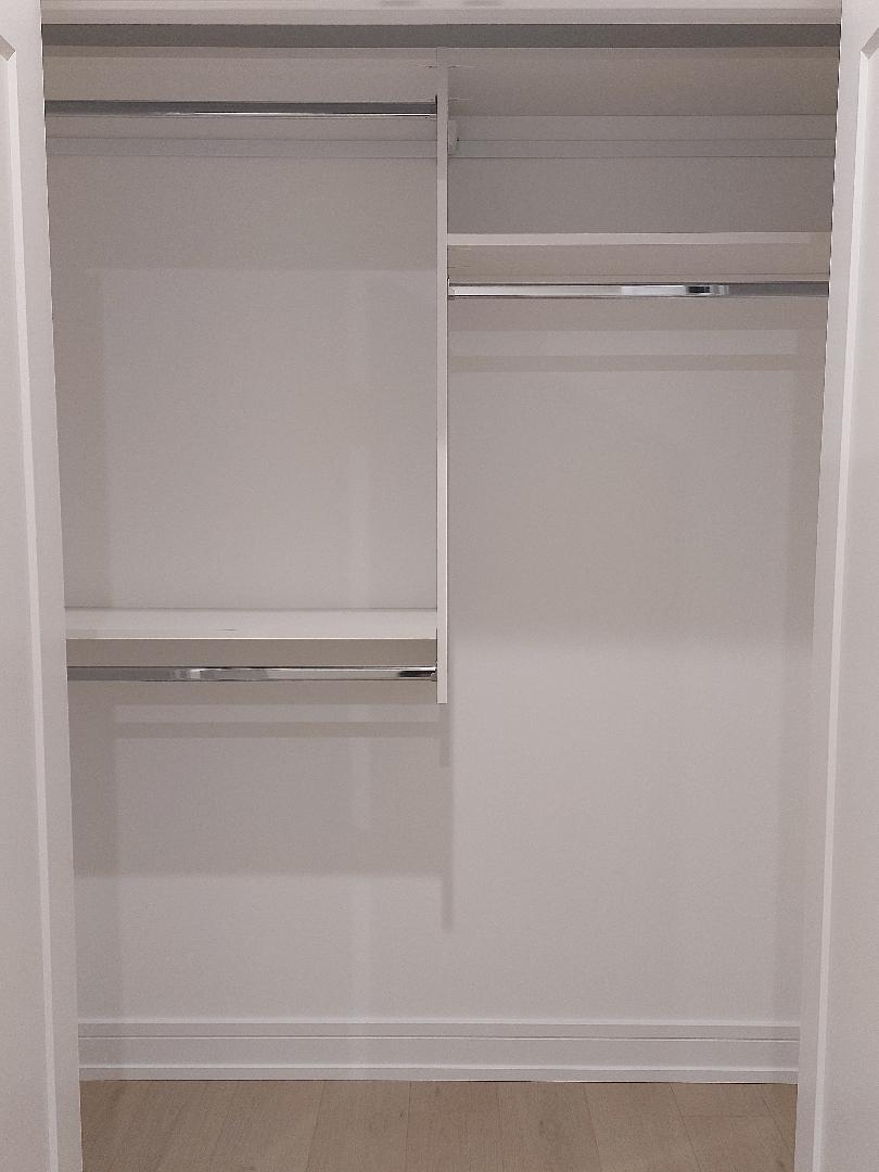 4625 South Michigan Avenue, Unit 2 Chicago, IL 60653 - Photo 12 of 21 a close view of closet