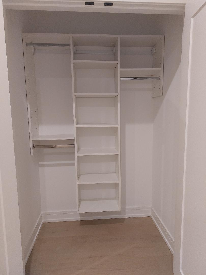 4625 South Michigan Avenue, Unit 2 Chicago, IL 60653 - Photo 9 of 21 a view of an empty walk in closet