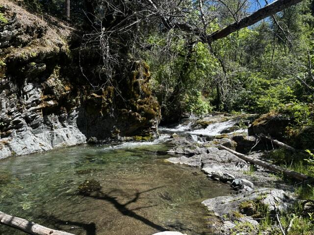 8980 Reading Creek Road Douglas City, CA 96024 - Photo 18 of 28