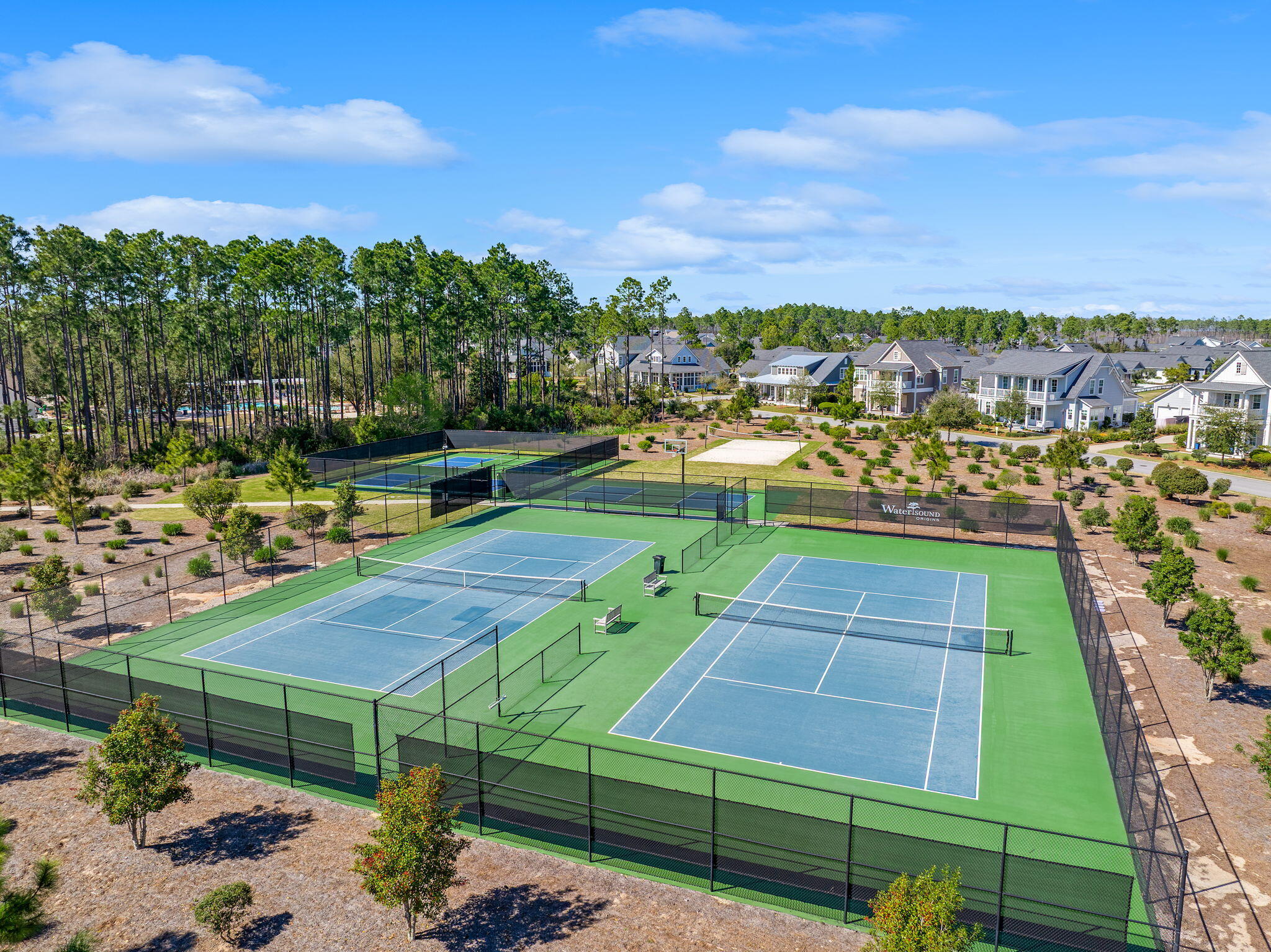 146 Trailhead Drive Inlet Beach, FL 32461 - Photo 60 of 74 a view of a tennis ground with large trees