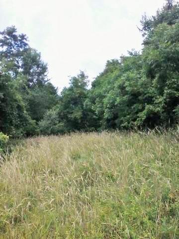 17073 Calico Ridge Road Logan, OH 43138 - Photo 27 of 34 Gallery Image 27
