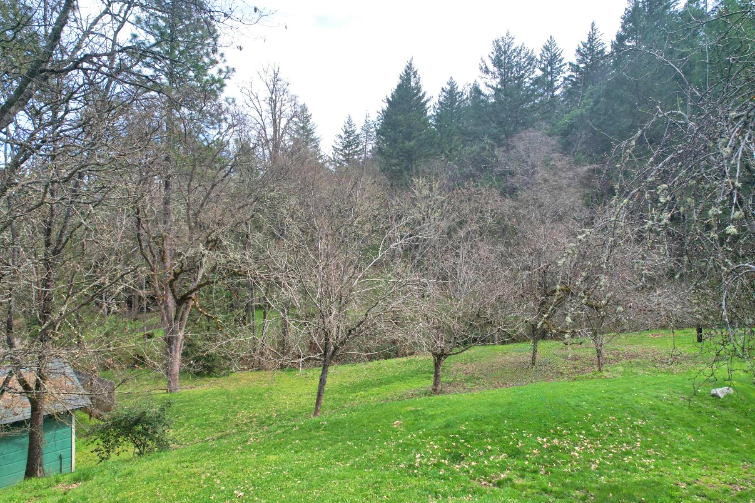 5355 Coleman Creek Road Medford, OR 97501 - Photo 68 of 76 gentle slope to creek