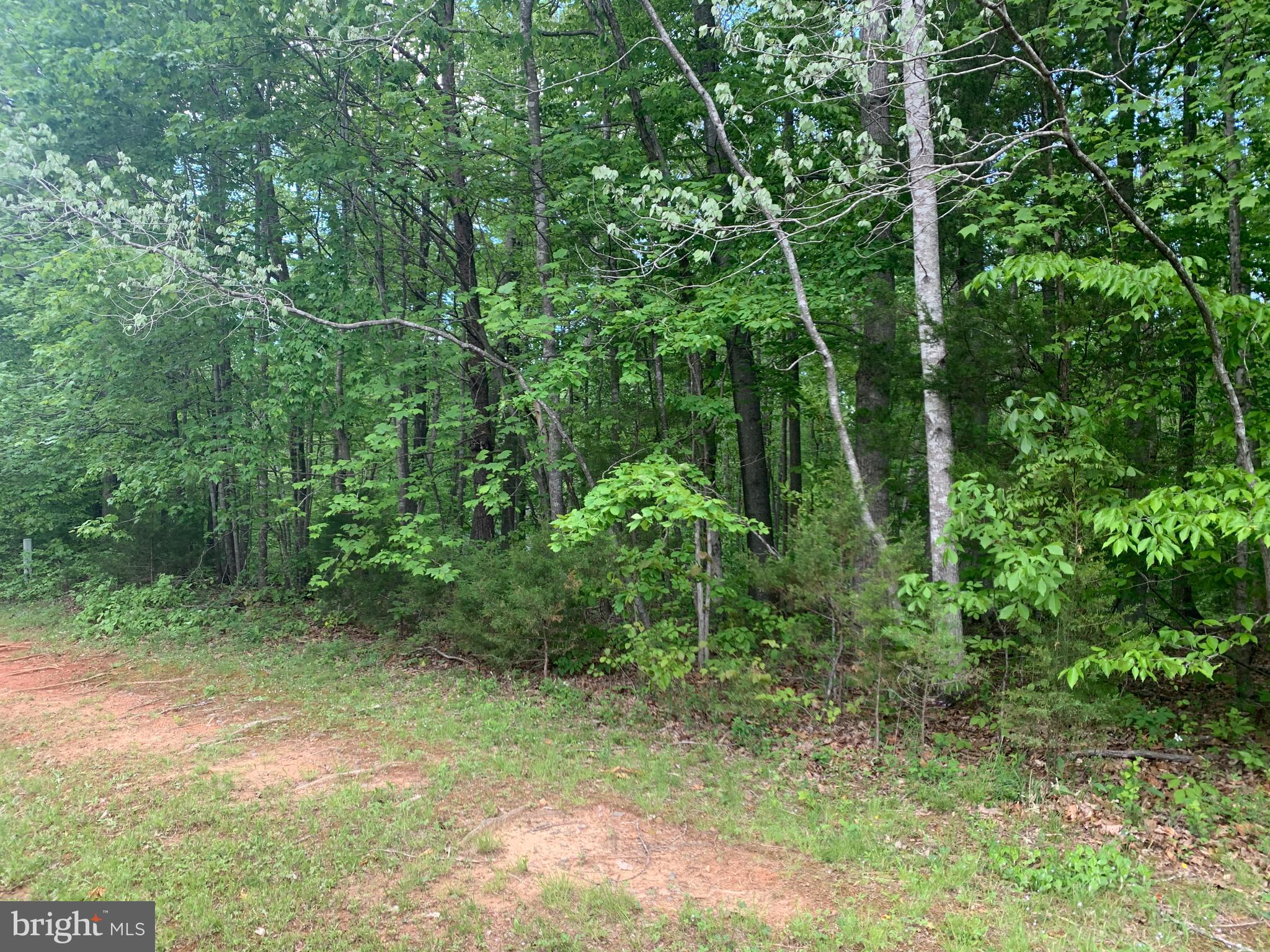 7203 Castaway Beach Road Orange, VA 22960 - Photo 13 of 16